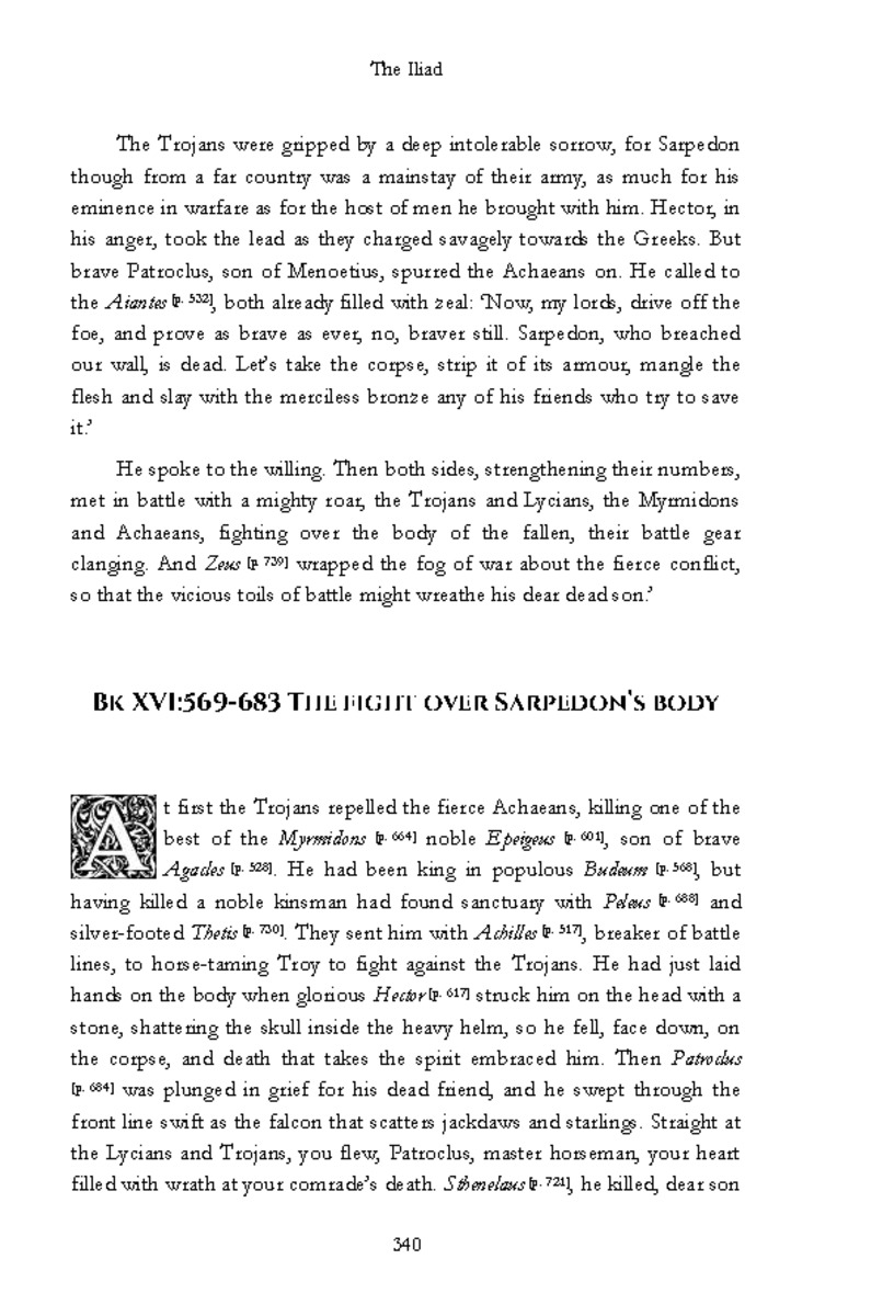 The Iliad - Page 334